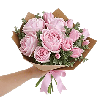 Peony Petal Harmony