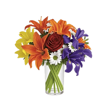 Petal Radiance Bliss