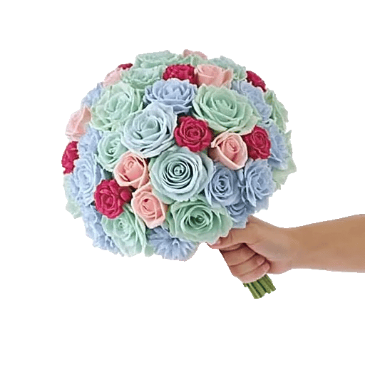 Serene Petal Harmony