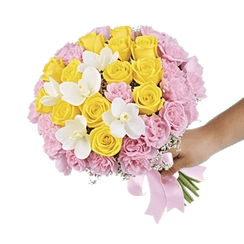 Blossom Harmony Display