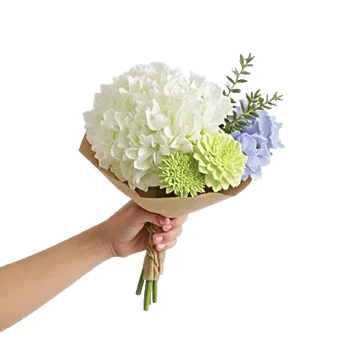 Serene Petal Harmony