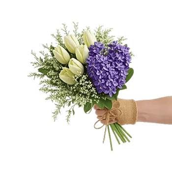 Ivory Garden Grace