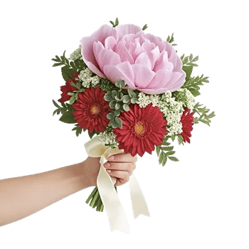 Peony Petal Harmony