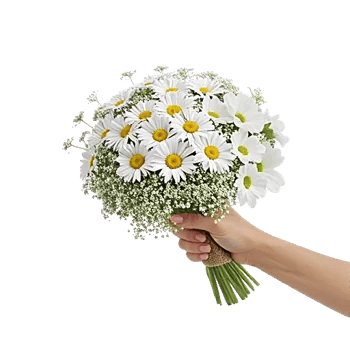 Blossom Petal Serenity