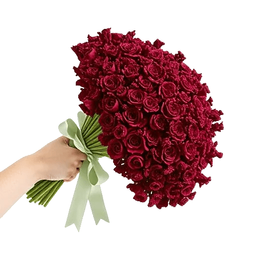 Crimson Blossom Harmony