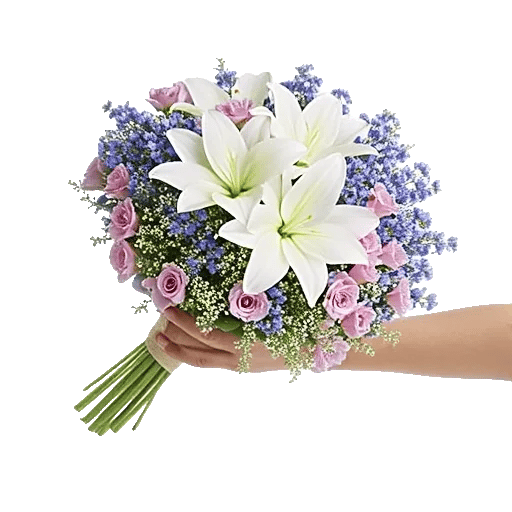 Blossom Petal Serenity