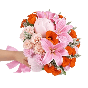 Peony Petal Harmony