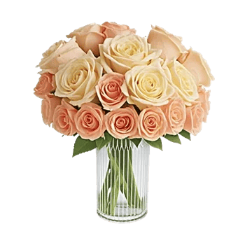 Petal Radiance Bliss