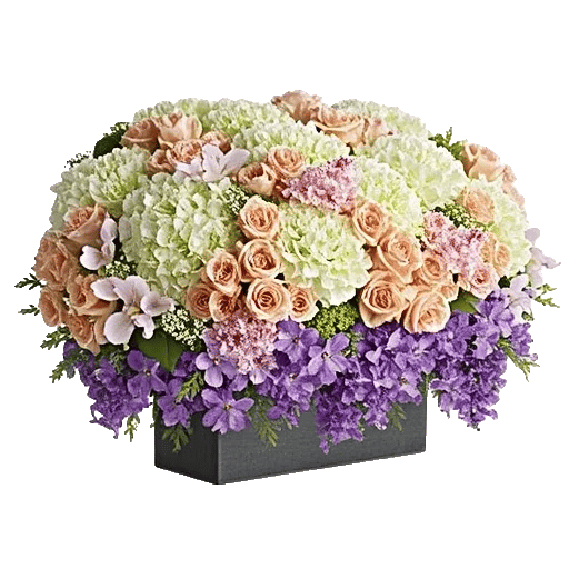 Ivory Blossom Radiance