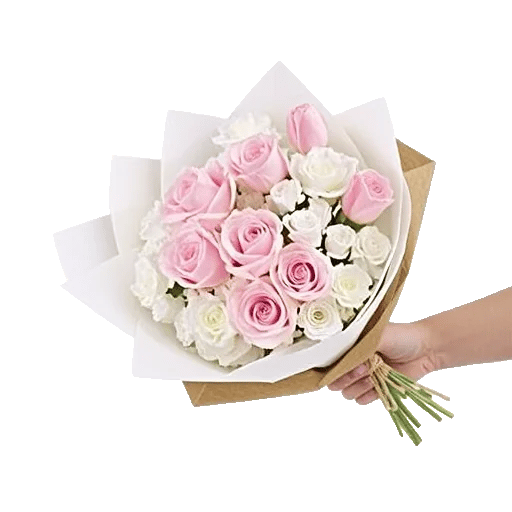 Pastel Pink Roses