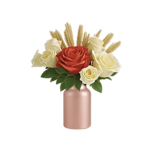 Radiant Rose Symphony