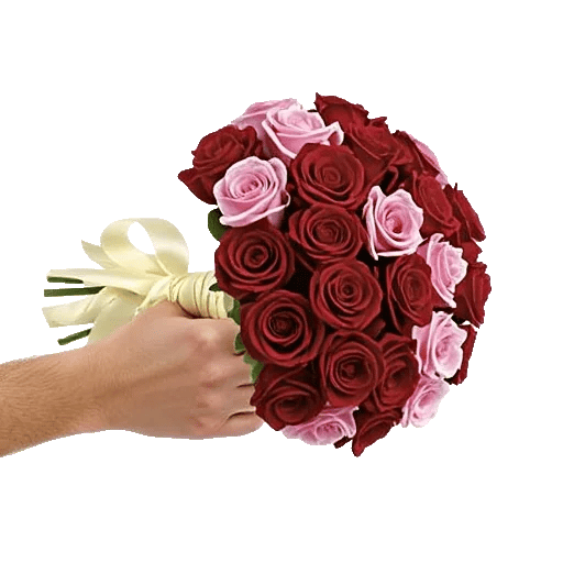 Crimson Rose Elegance