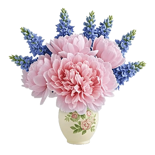 Peony Petal Harmony