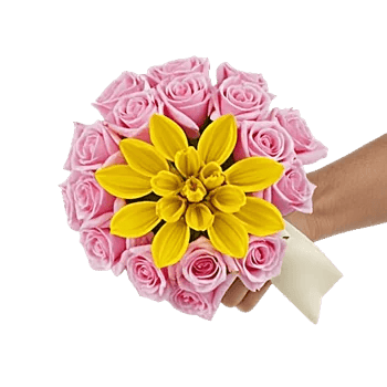 Tulip Rose Mix
