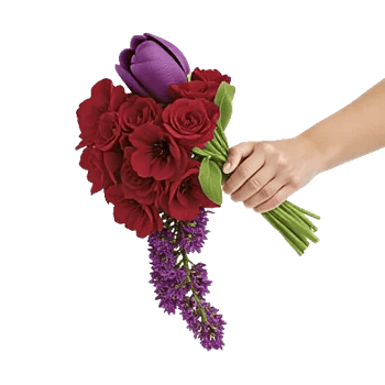 Scarlet Tulip Splendor