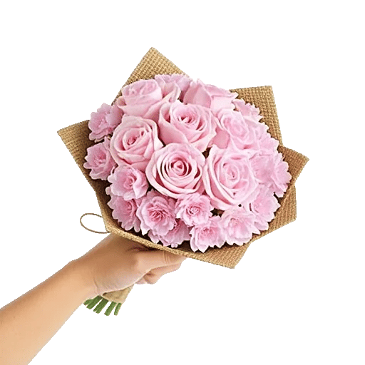 Blushing Rose Symphony