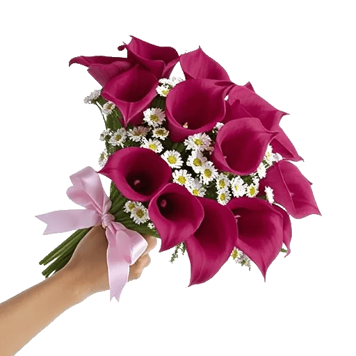 Elegant Calla Lilies