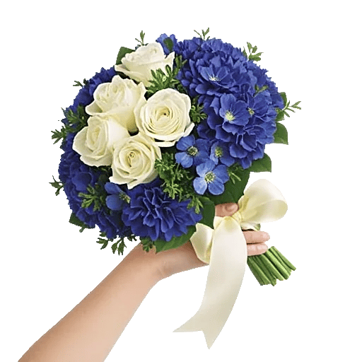 Serene Petal Harmony