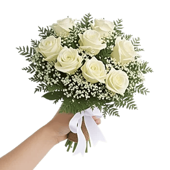Ivory Garden Grace