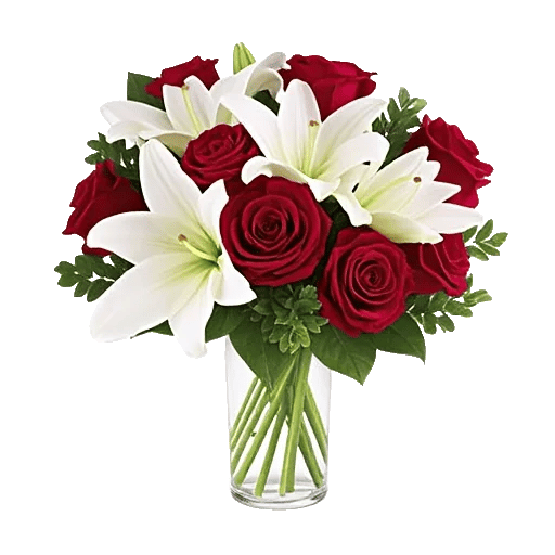 Crimson Rose Elegance