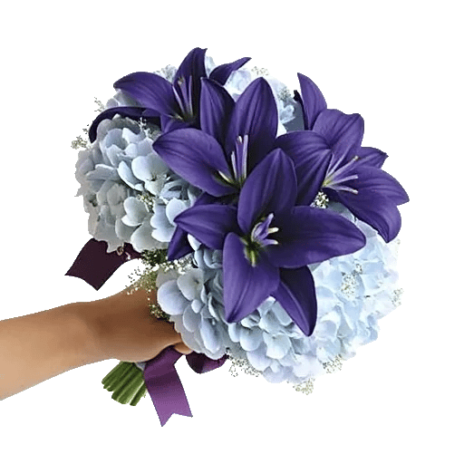 Serene Petal Harmony