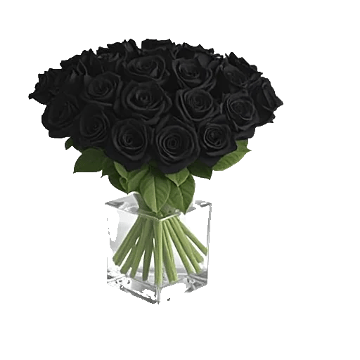 Gothic Dark Roses