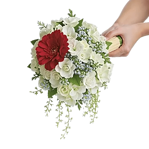 Delicate Petal Cascade