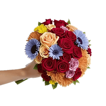 Blushing Rose Symphony