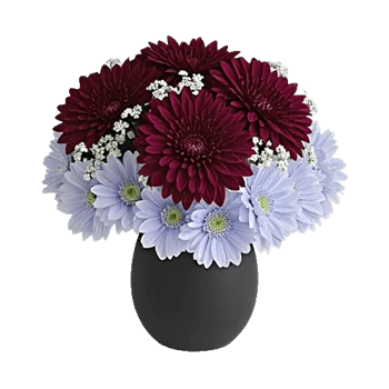 Crimson Blossom Harmony