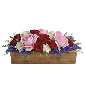 Delicate Petal Cascade