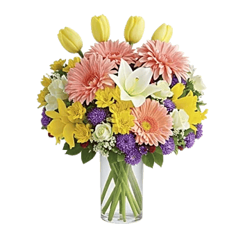 Petal Radiance Bliss