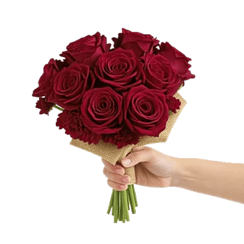 Crimson Rose Elegance