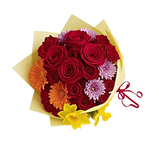 Crimson Rose Elegance