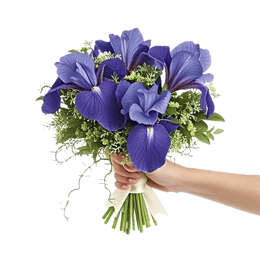 Ivory Blossom Radiance