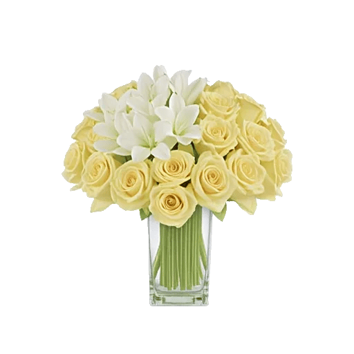 Ivory Blossom Radiance