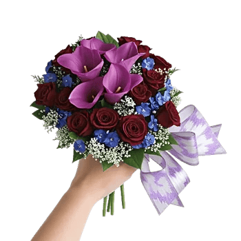 Elegant Calla Lilies