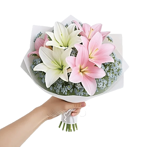 Blossom Petal Serenity