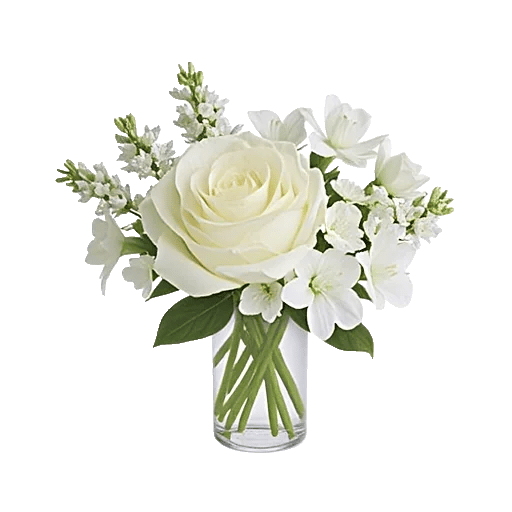Delicate Petal Cascade