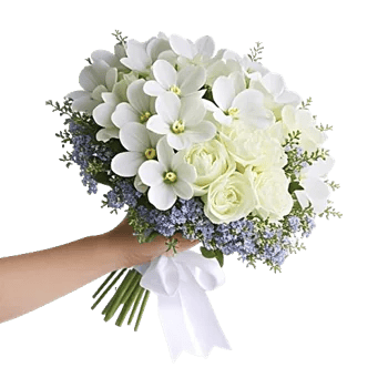 Minimalist White Orchids