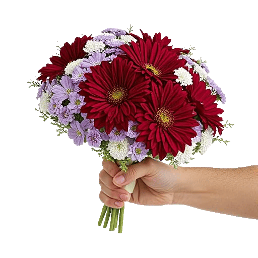 Crimson Blossom Harmony