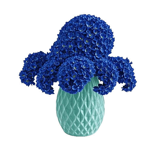 Sapphire Bloom Whisper