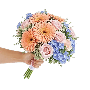 Blossom Petal Serenity