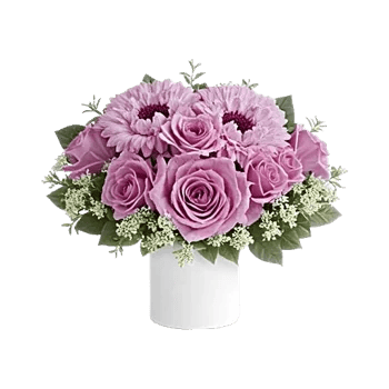 Lavender Bloom Grace