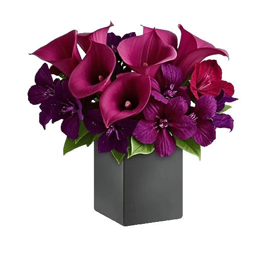 Elegant Calla Lilies