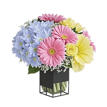 Petal Radiance Bliss