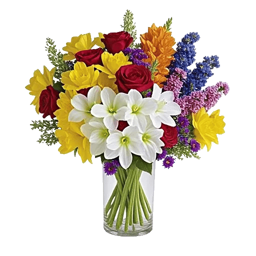 Ivory Blossom Radiance