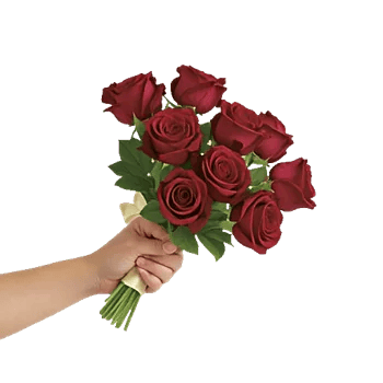 Crimson Rose Elegance