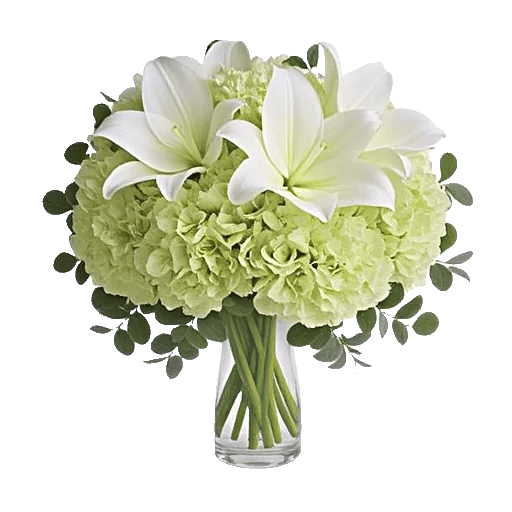 Ivory Blossom Radiance