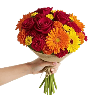 Crimson Rose Elegance