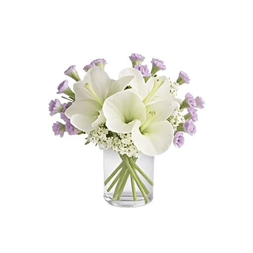 Ivory Blossom Radiance